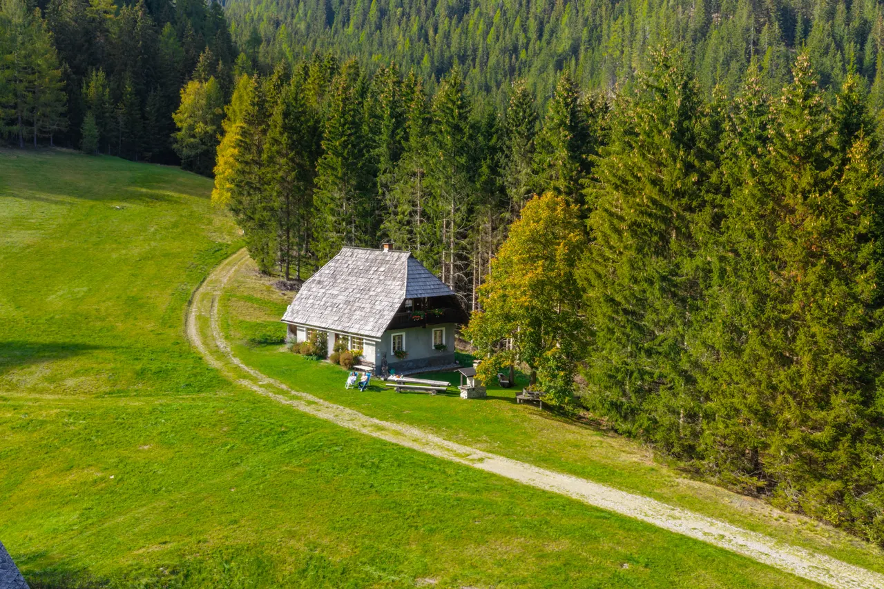 Luftbild: der Feldweg führt in einem Bogen über die Wiese zur Hütte am Waldrand
