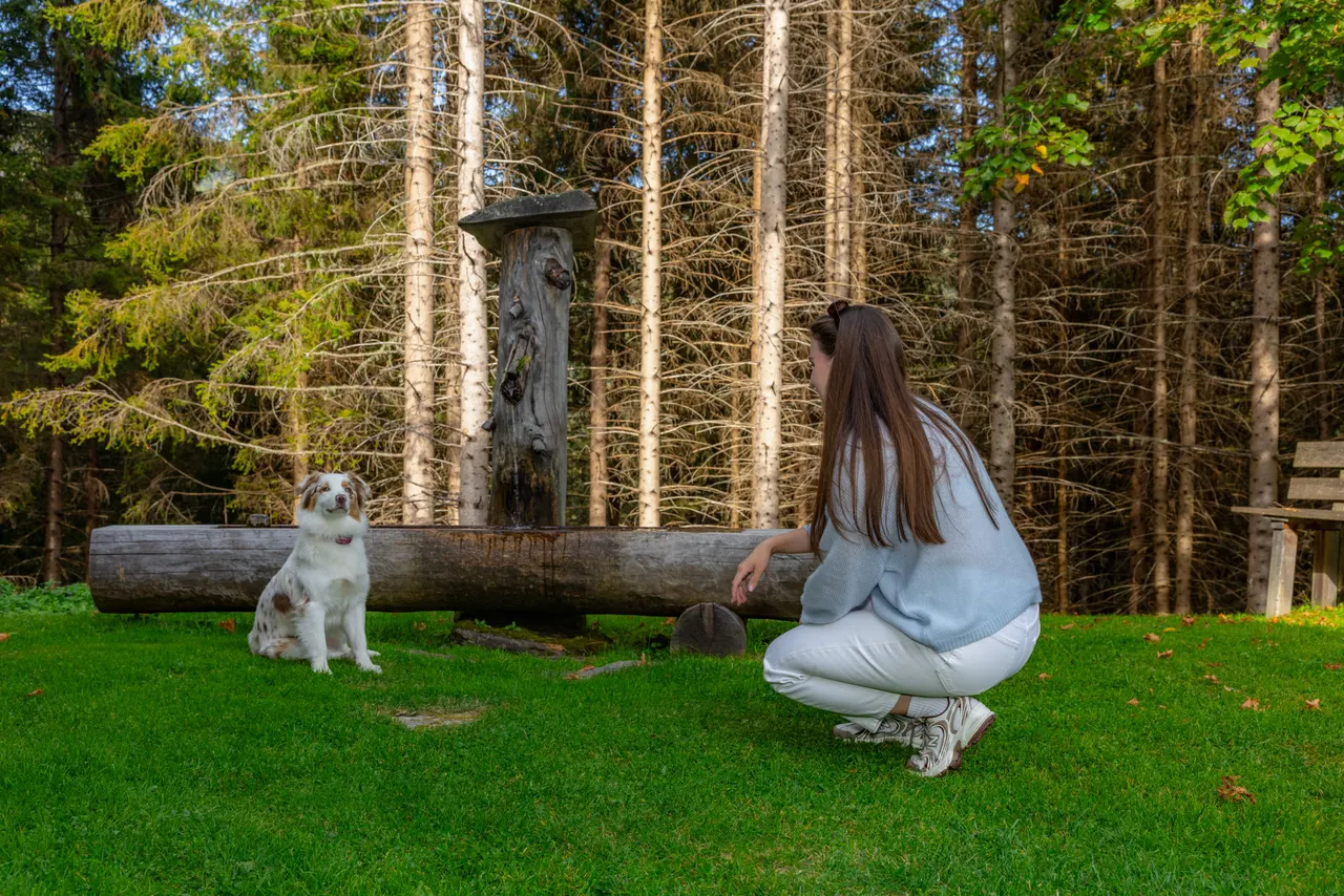 Der Hund sitzt am Brunnen