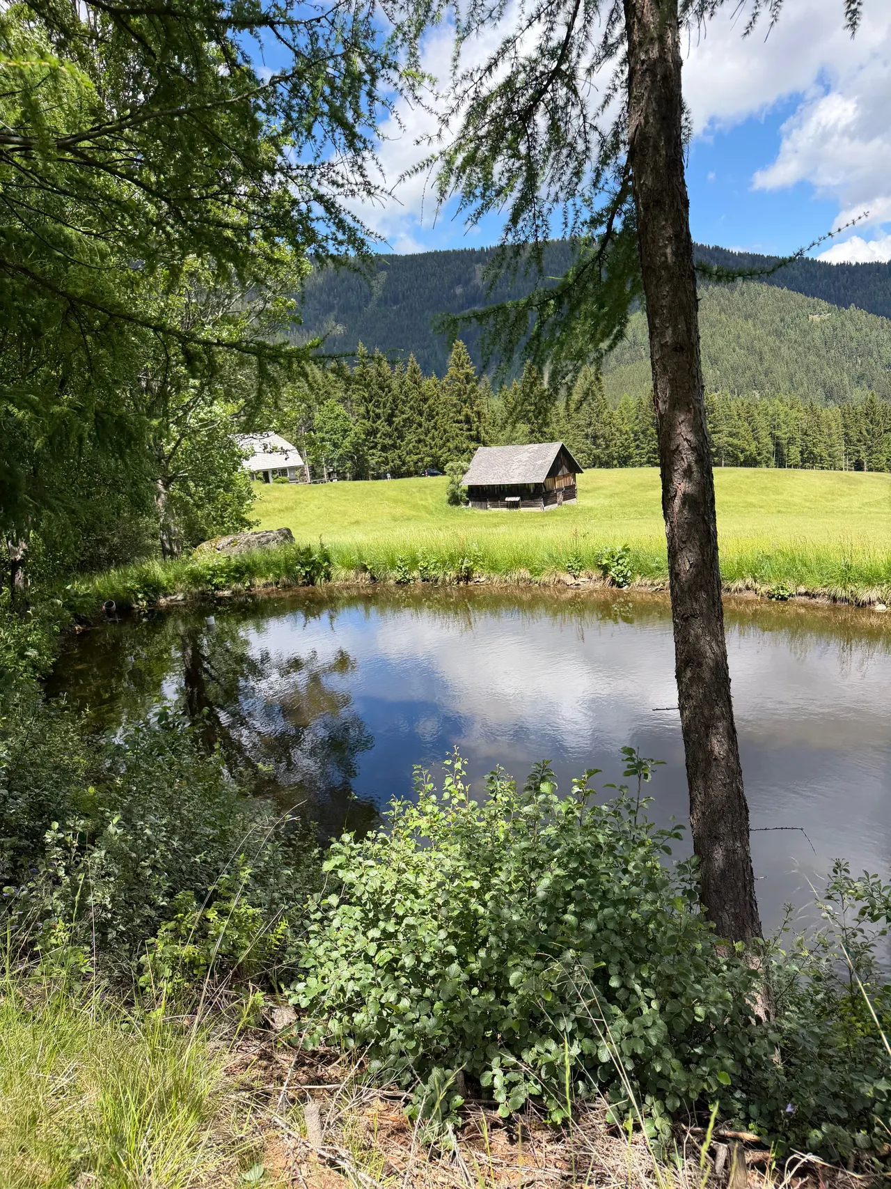 Einer der Fischteiche mit Stadel und Bergwald dahinter
